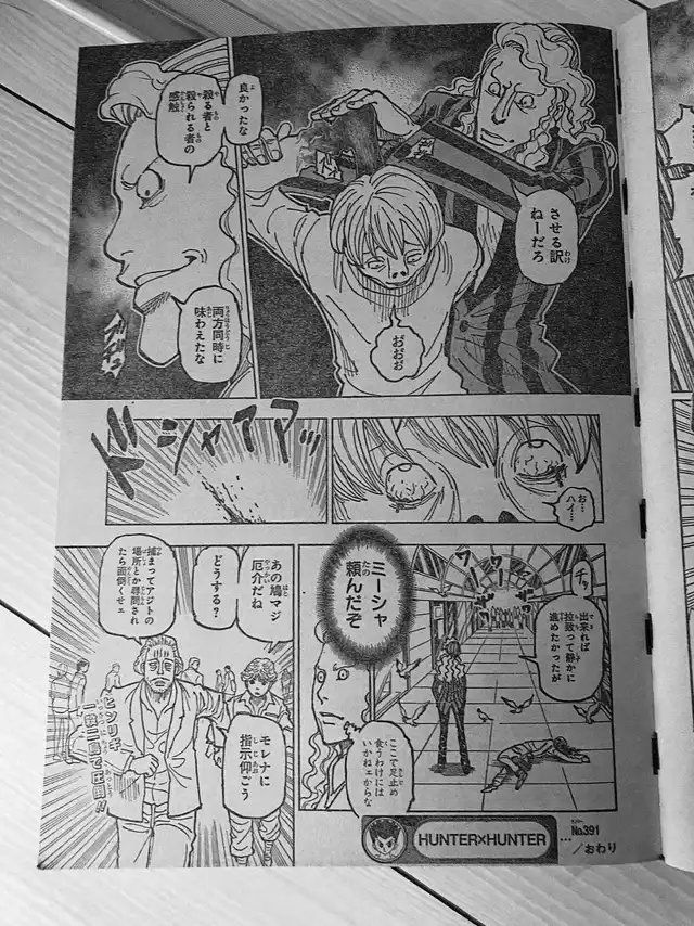 Hunter x Hunter Chapter 391 Raw 6
