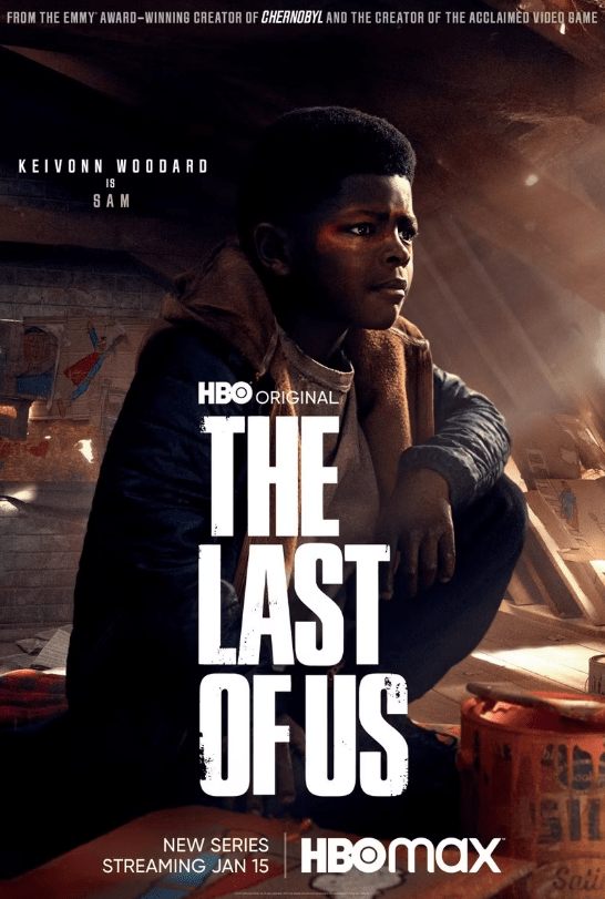 The Last of Us Poster 8