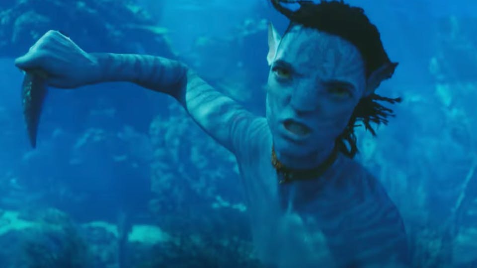 When is 'Avatar: The Way of Water' Coming To Blu-Ray? - Disney Plus Informer