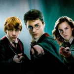 What More to Do After Completing a Harry Potter Movie Marathon?