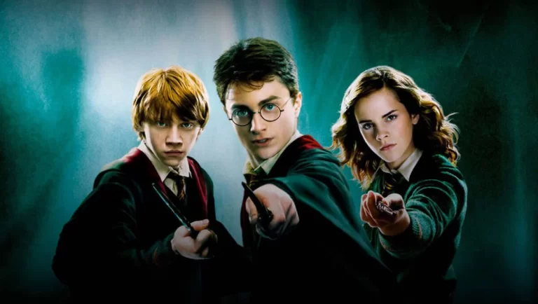 What More to Do After Completing a Harry Potter Movie Marathon?