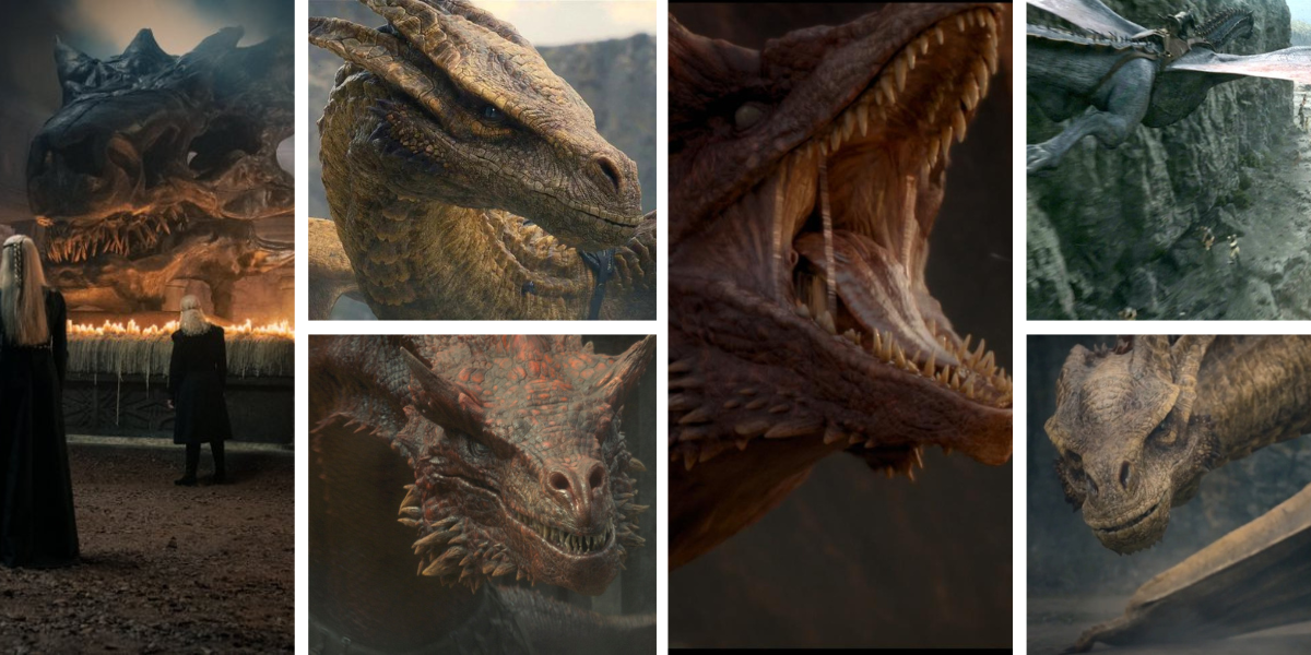 House Of The Dragon All 21 Dragons Their Riders And How They Die 